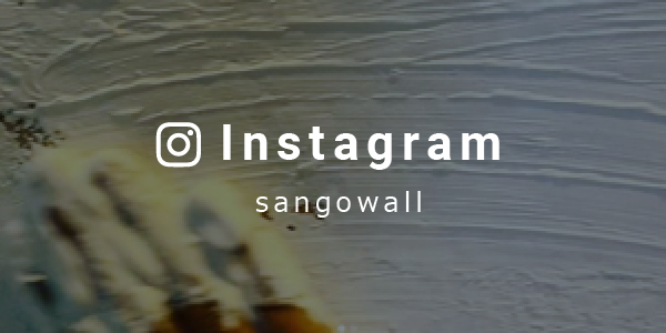 Instagram sangowall 